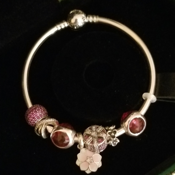 pandora travel bracelet pandora travel bracelet